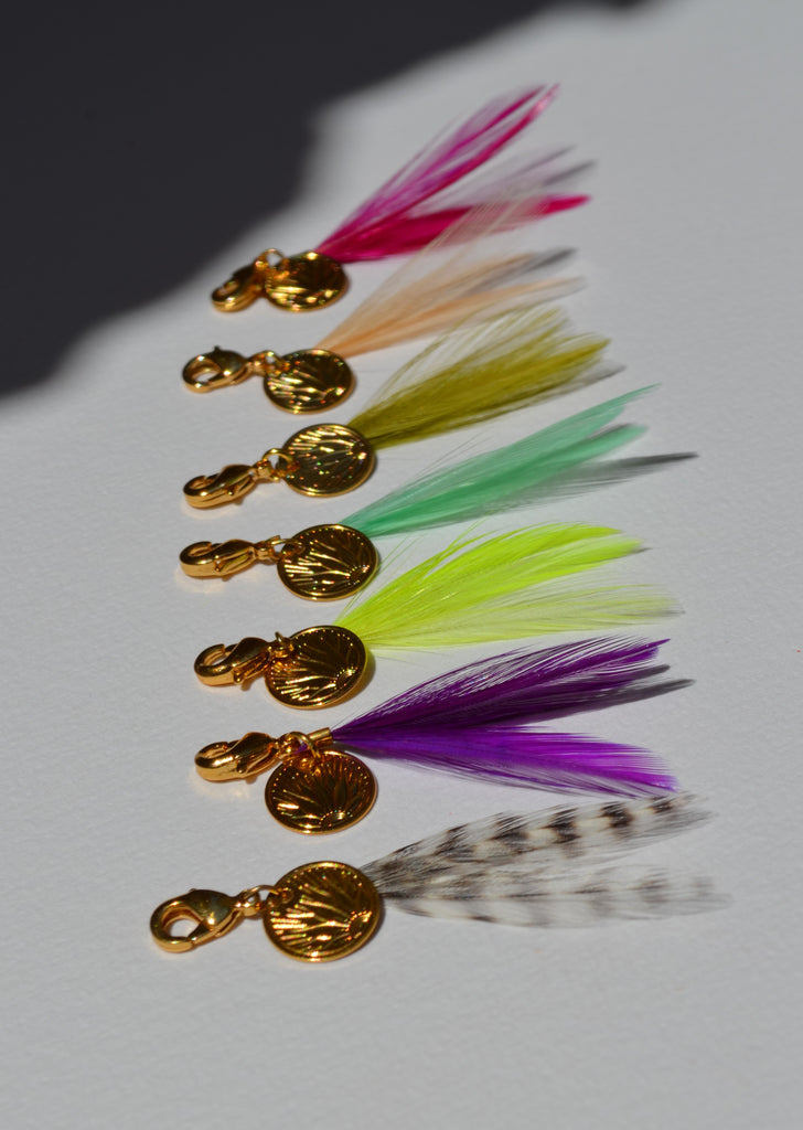 Charm's plumes coq petit modèle