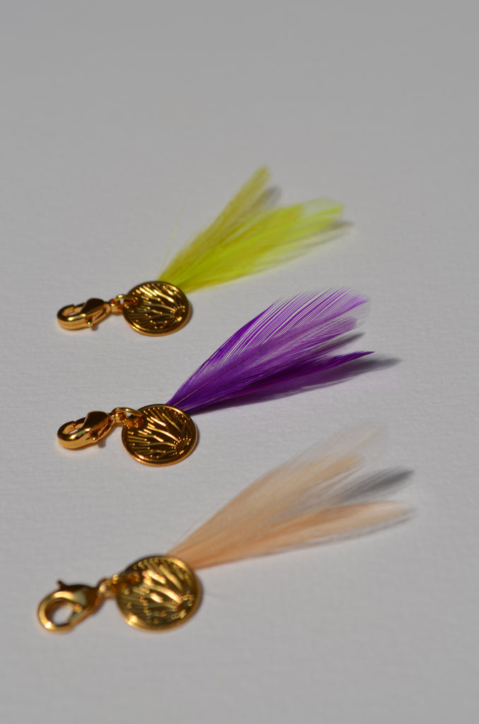 Charm's plumes coq petit modèle