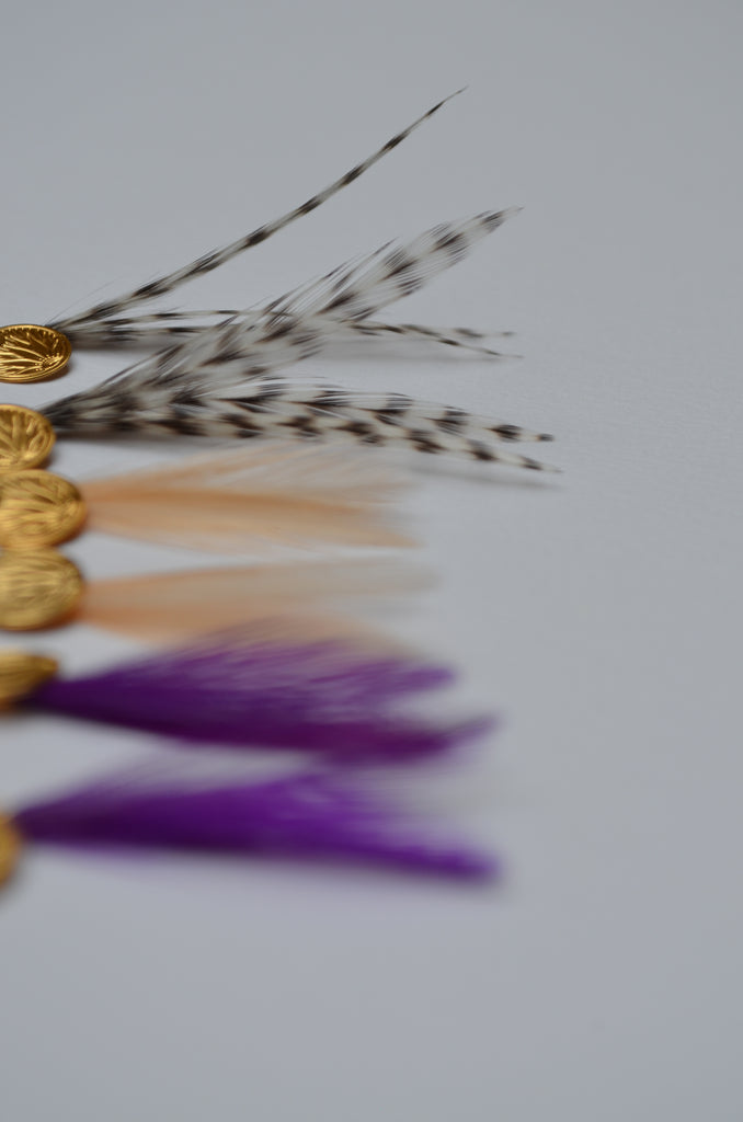 Charm's plumes coq petit modèle