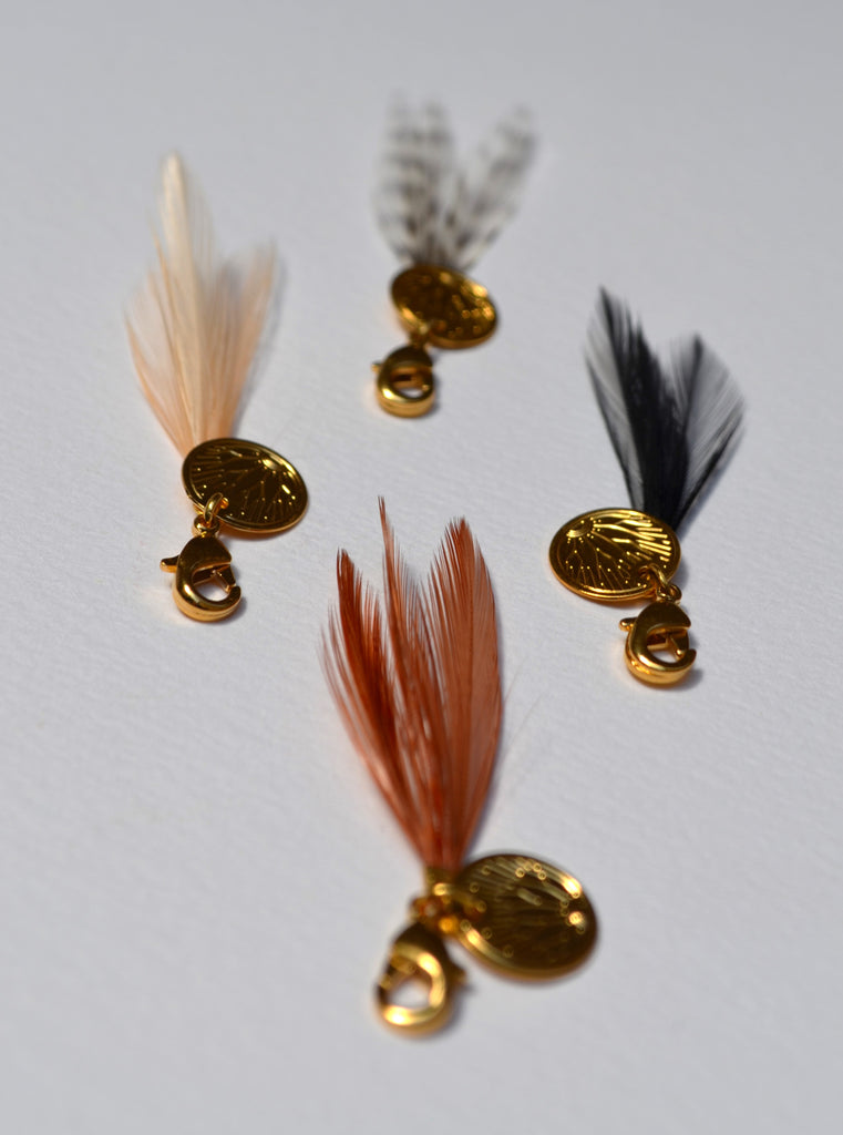 Charm's plumes coq petit modèle