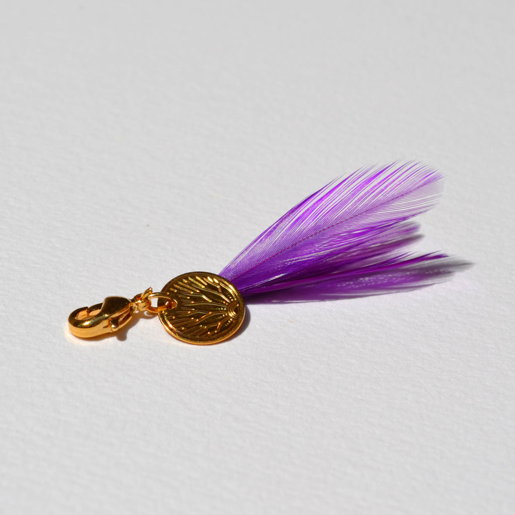 Charm's plumes coq petit modèle violet