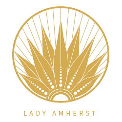 LADY AMHERST