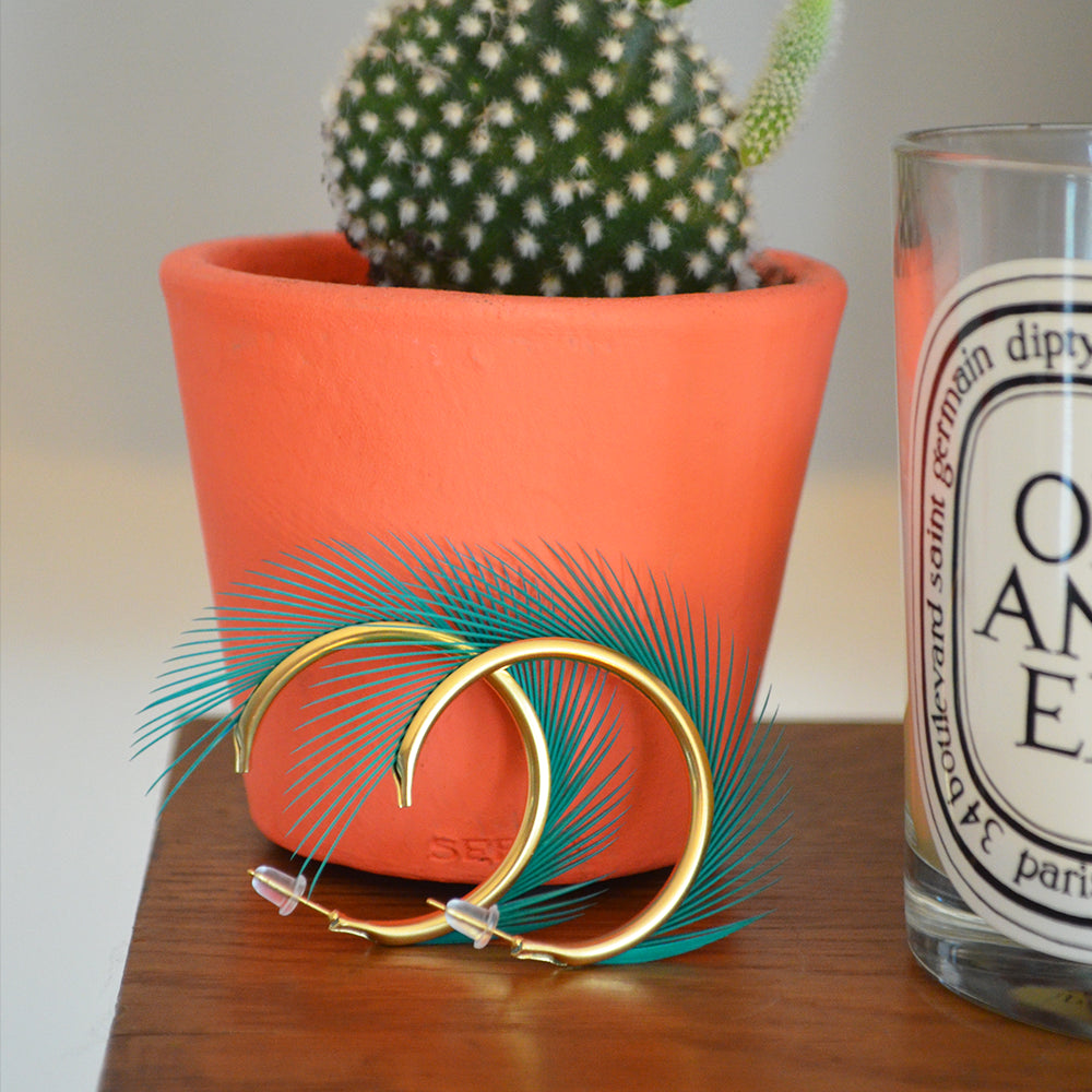Boucles d'oreilles plumes oie iroquoise vert